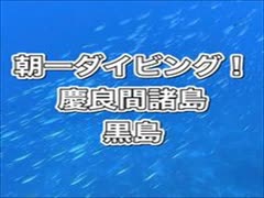 慶良間諸島・黒島朝一ダイブ！タカサゴ群れ