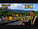 【44】千の風になって、お墓にいないの?(沙門の開け仏教の扉)法話風ザックリトーク