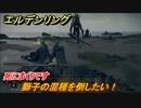 エルデンリング　獅子の混種を倒したい！死にまくり　＃２９【ELDEN RING】