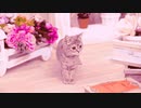 Kawaii Thing of ち・ゆ・り