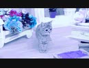 Kawaii Thing of ち・ゆ・り