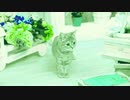 Kawaii Thing of ち・ゆ・り