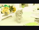 Kawaii Thing of ち・ゆ・り