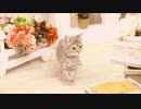 Kawaii Thing of ち・ゆ・り