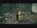 【マルギット】SL1魔術祈祷霊体パリィ無し倒し方【エルデンリング】