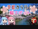 京都から行く桜スポット〜ほど良い花見の名所10選〜【地元紹介祭】