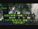 全国の新聞で掲載された『ワクチン意見広告(堤猛さん))』が熱い(沙門のちょい遅れがちなNEWS)