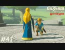 ウツシエの記憶だどり【ゼルダの伝説 ブレスオブザワイルド マスターモード】#41