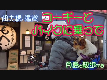 モンキー１２５に乗ってしっぽつきコーギーともんじゃで有名な下町 月島を散歩する。隅田川に架かるライトアップされた佃大橋も鑑賞する。