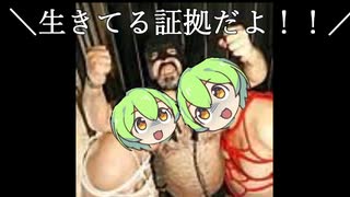ずんだもんの過呼吸を作ってたはずなんだが…