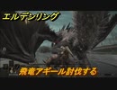 エルデンリング　飛竜アギールを討伐する！　＃４２【ELDEN RING】