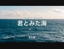 【NEUTRINO合唱】君とみた海 / 若松歓【めろう&ナクモ】