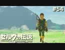 ノースリーブ五分丈ズボン【ゼルダの伝説 ブレス オブ ザ ワイルド54】