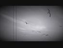 【過去を光に変える】 Paintings  /静かな波紋 feat. MERROW
