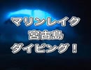 マリンレイク・宮古島ダイビング