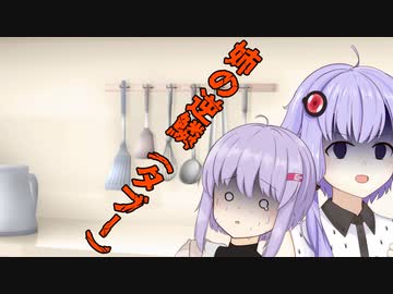 【ソフトウェアトーク劇場】姉の逆鱗（タブー）