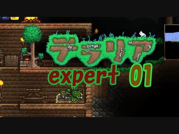 【ゲーム実況】アップデートされたテラリアを上級モードで遊ぶ 01【テラリア】