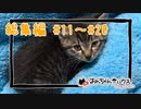我が家の猫さんの成長記録総集編#11～#20