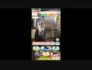 【ウマ娘風】ヤマノリアル・メモリアル　クールフォルテ３戦目　【クールフォルテ応援動画】