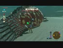 続編出るまでにBotWクリアしときたいマン　英傑たちの詩(バラッド)編　part4