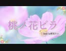 【歌ってみた】 桃ノ花ビラ 【茶花うい】