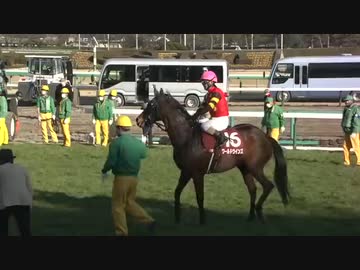 【令和のツインターボ、発見される。】中山記念(GII) 2022.2.27