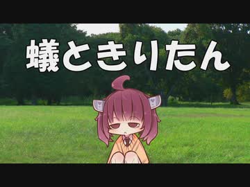 蟻ときりたん