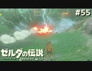ゼロから始める無人島生活【ゼルダの伝説 ブレス オブ ザ ワイルド55】