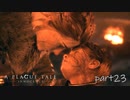 【実況】絶望の淵で生き延びる-part23-【A Plague Tale: Innocence】