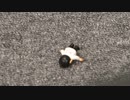 『春瀬なつみと天野聡美のお部屋deタコパ☆』29舟目＊おかわり＊