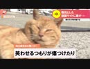 ジョーク　歌ってみた（あやつぢ