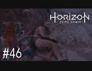 【ゆっくり実況】Horizon Zero Dawn その46
