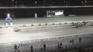 2022年2月27日高知競馬7R ゴルシトレーナー協賛 ウマ娘アプリ一年特別(A-3組) エイシンピストン