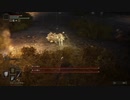 PS4エルデンリング　Lv1　亜人の親分　