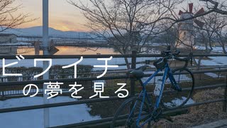 自転車で全力で走り抜きたい『初心者ロード乗り、ビワイチの夢を見る』