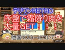 【DQM】育成・金策・肉すべて解決！他国マスターについて【テリーのワンダーランドRETRO】