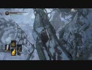 【ダークソウル3】何かありそうで何もないけど絶対何かある場所【16-3回目】