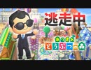 【あつ森】逃走中を森でやってみた カーニバル編 inアトランティス島【実況】あつまれどうぶつの森