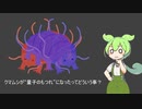 クマムシが“量子のもつれ”になったってどういう事？