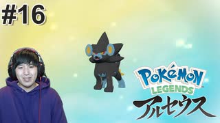 #16 ポケモントレーナー アキヒト【Pokémon LEGENDS アルセウス】