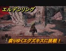 エルデンリング　腐りゆくエグズキスに挑戦！　＃７２【ELDEN RING】