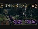 知られざる戦いの神のELDEN RING＃３