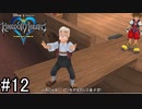 タブーに触れるなよ【キングダムハーツ ファイナルミックス】#12