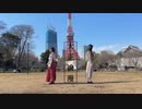 【踊ってみた】大正浪漫【凸凹】