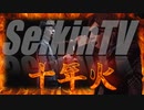 SeikinTV十年火