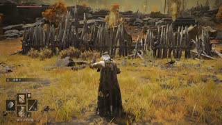 マグロヘッド 2022/02/27 22:30 史上最高の神ゲー　エルデンリング