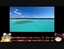 『ゆっくり食闇 040』ブルーオーシャン戦略はやめたほうがいい。すでに人気ジャンルに参入したほうが簡単よ。
