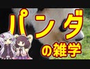 【雑学】パンダ【VOICEROID解説】