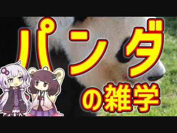 【雑学】パンダ【VOICEROID解説】