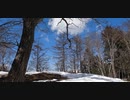 残雪｜川苔山
